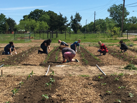 Mary Crowley Employees picking weeds and planting pumpkins