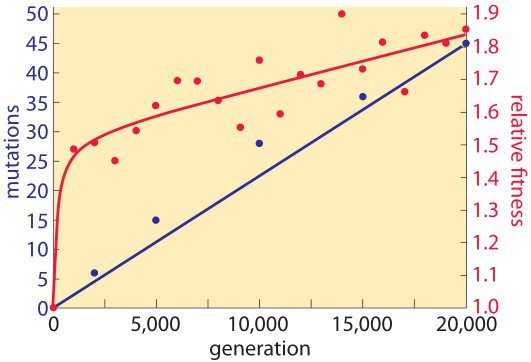 Figure 1. Rate of genomic evolution and relative fitness. GeneMutations Figure1.jpg