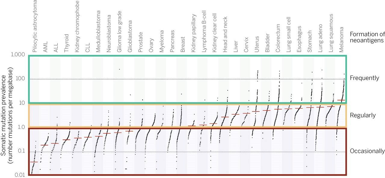Figure 4 Immunotherapy