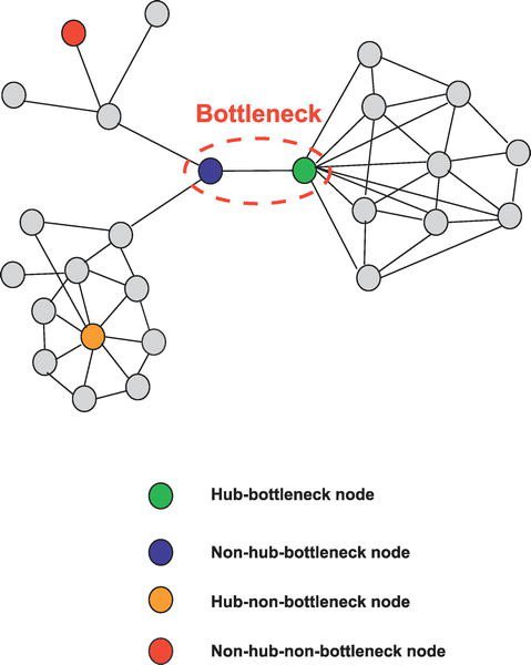 Figure 4: High information transfer “bottleneck nodes". CancerPathways Figure4.jpg