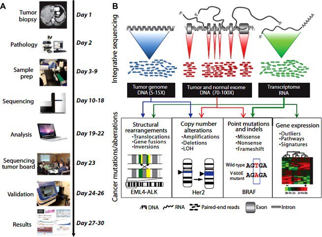 Figure 3: Integrative clinical tumor screening GeneMutations Figure3.jpg