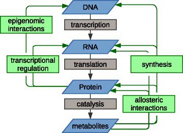 Figure 1: The multilevel relationships between –omic levels CancerPathways Figure1.jpg